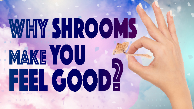 why shrooms make you feel good